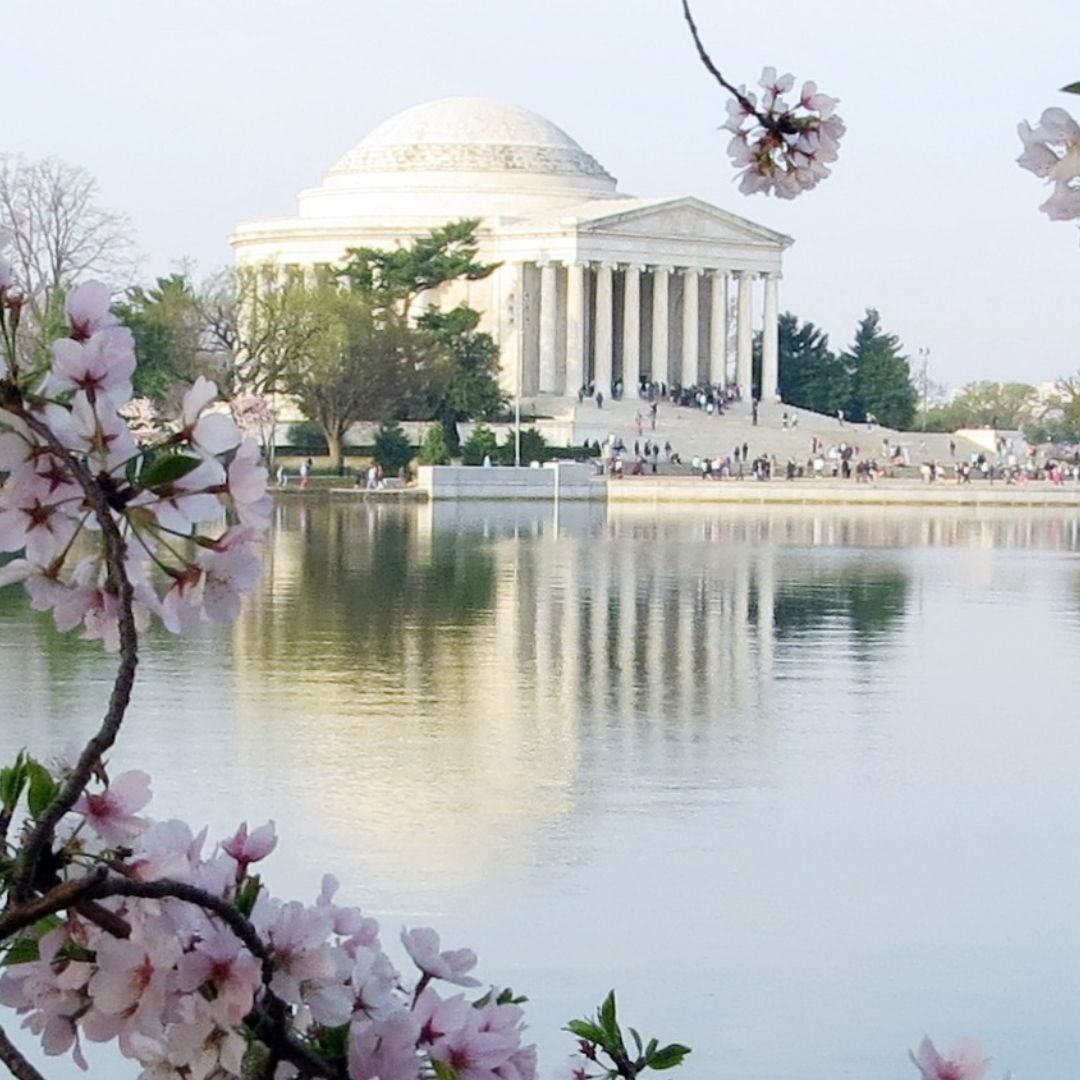 Jefferson Memorial, Washington DC with Cherry Blossoms